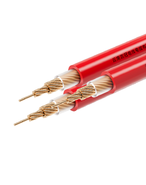百冠精品系列（尊享版）
